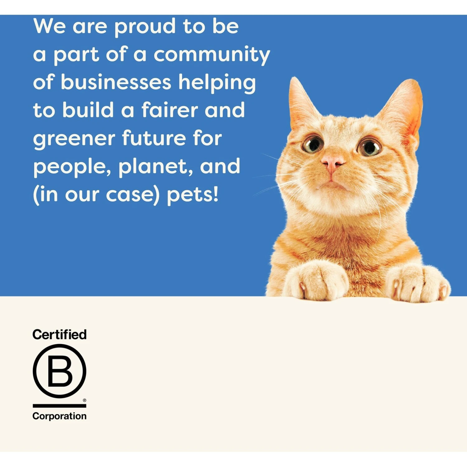 Applaws Tuna With Shrimp Bits In Broth Wet Cat Food, 2.47-oz, Case Of 12 7 Applaws Tuna With Shrimp Bits In Broth Wet Cat Food, 2.47-oz, Case Of 12 - Image 7