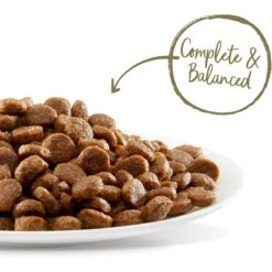 Applaws Adult Complete Whitefish Recipe With Country Vegetables Grain-Free Dry Cat Food & Applaws Tuna Loin Grain-Free Cat Treats, 1.06-oz Loin, Case Of 12 11 Applaws Adult Complete Whitefish Recipe With Country Vegetables Grain-Free Dry Cat Food & Applaws Tuna Loin Grain-Free Cat Treats, 1.06-oz Loin, Case Of 12 -Farmina Pet Shop 502938 PT2. AC SS1800 V1648477886