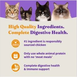 Halo Holistic Indoor Chicken Recipe Complete Digestive Health & Healthy Weight Support Adult Grain-Free Cage-Free Dry Cat Food -Farmina Pet Shop 51454 PT5. AC SS1800 V1676299411