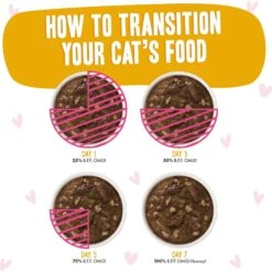 BFF Tuna & Turkey Tickles Dinner In Gravy Wet Cat Food Pouches -Farmina Pet Shop 59062 PT7. AC SS1800 V1644914490