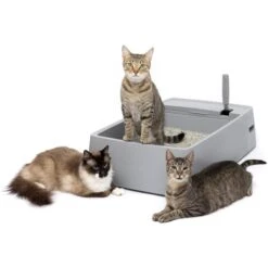 PetSafe Multi-Cat Litter Box -Farmina Pet Shop 617526 PT6. AC SS1800 V1660255555