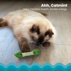 Catstages Fresh Breath Mint Stick Cat Chew Toy -Farmina Pet Shop 62044 PT2. AC SS1800 V1636519877