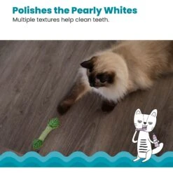 Catstages Fresh Breath Mint Stick Cat Chew Toy -Farmina Pet Shop 62044 PT3. AC SS1800 V1636513103