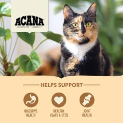 ACANA Senior Entrée Free-Run Chicken & Turkey Dry Cat Food 13 ACANA Senior Entrée Free-Run Chicken & Turkey Dry Cat Food -Farmina Pet Shop 638206 PT4. AC SS1800 V1690997166