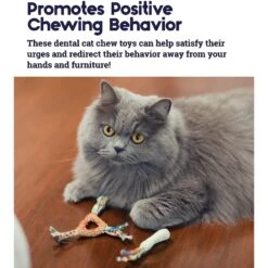 Catstages Dental Cat Chew Toy With Catnip, Color Varies -Farmina Pet Shop 64661 PT3. AC SS1800 V1636497150