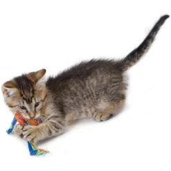 Catstages Dental Cat Chew Toy With Catnip, Color Varies -Farmina Pet Shop 64661 PT5. AC SS1800 V1636519583