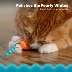 Catstages Mice Cat Chew Toy With Catnip 9 Catstages Mice Cat Chew Toy With Catnip -Farmina Pet Shop 64672 PT2. AC SS1800 V1636506377