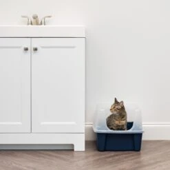 IRIS USA Open Top Litter Box With Scatter Shield -Farmina Pet Shop 65498 PT2. AC SS1800 V1680803978