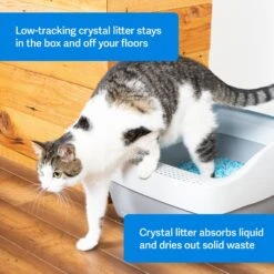 PetSafe ScoopFree Premium Crystal Litter 2-Pack & PetSafe ScoopFree Complete Reusable Litter Tray -Farmina Pet Shop 694158 PT2. AC SS1800 V1668532511