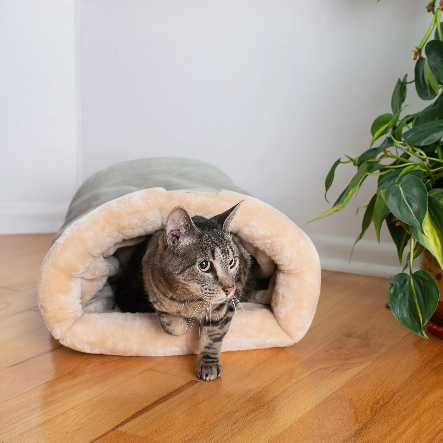 Armarkat Burrow Cat Bed 2 Armarkat Burrow Cat Bed - Image 2