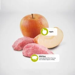 Farmina Natural & Delicious Wild Boar Grain-Free Formula Dry Cat Food 9 Farmina Natural & Delicious Wild Boar Grain-Free Formula Dry Cat Food -Farmina Pet Shop 72013 PT4. AC SS1800 V1460753250