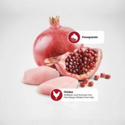 Farmina Natural & Delicious Chicken Grain-Free Formula Dry Cat Food -Farmina Pet Shop 72015 PT4. AC SS1800 V1489367656