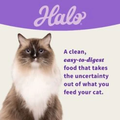 Halo Whitefish, Salmon, Seafood Medley Variety Pack Grain-Free Pate Adult Wet Cat Food, 5.5-oz Can, Case Of 12 11 Halo Whitefish, Salmon, Seafood Medley Variety Pack Grain-Free Pate Adult Wet Cat Food, 5.5-oz Can, Case Of 12 -Farmina Pet Shop 721910 PT5. AC SS1800 V1669911267