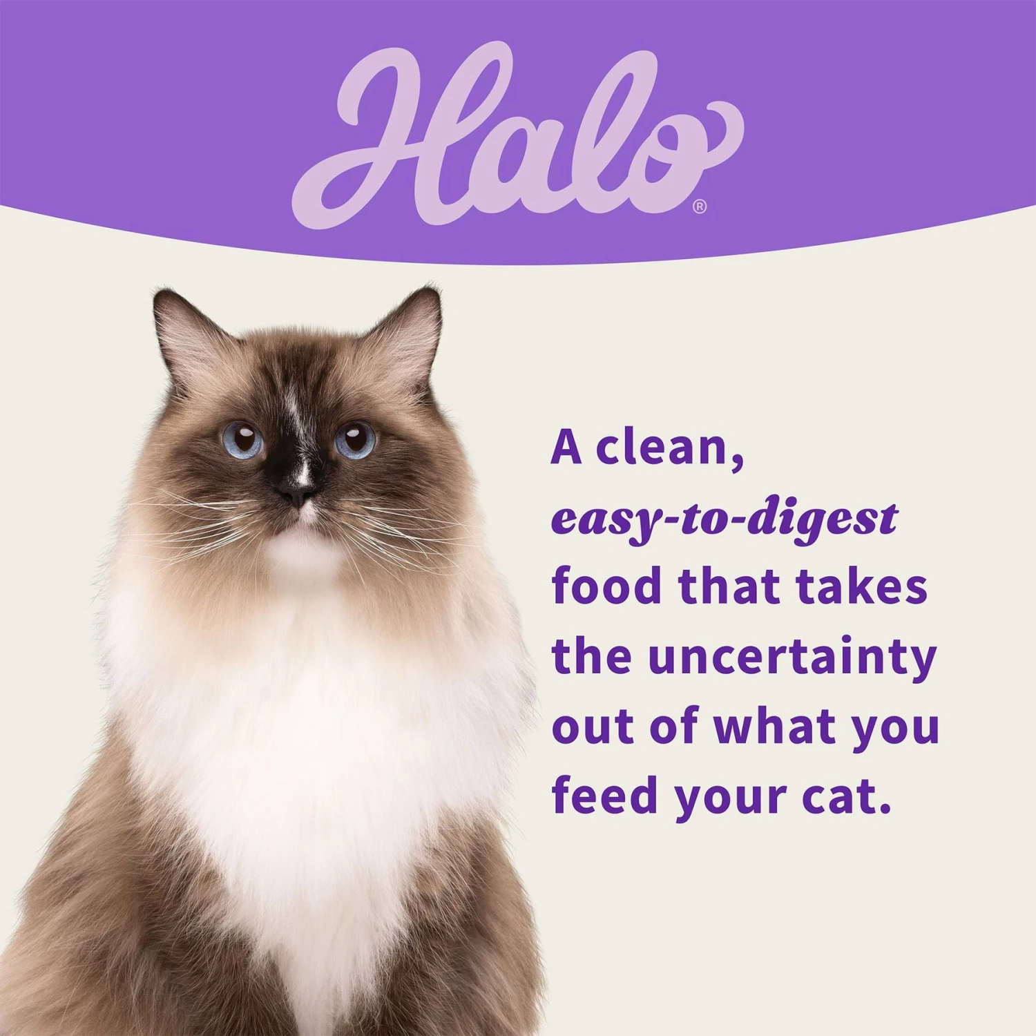 Halo Whitefish, Salmon, Seafood Medley Variety Pack Grain-Free Pate Adult Wet Cat Food, 5.5-oz Can, Case Of 12 6 Halo Whitefish, Salmon, Seafood Medley Variety Pack Grain-Free Pate Adult Wet Cat Food, 5.5-oz Can, Case Of 12 - Image 6