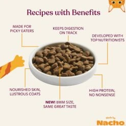 Made By Nacho Bone Broth Infused Sustainably Caught Salmon & Pumpkin Recipe Dry Cat Food 10 Made By Nacho Bone Broth Infused Sustainably Caught Salmon & Pumpkin Recipe Dry Cat Food -Farmina Pet Shop 756494 PT3. AC SS1800 V1698183400