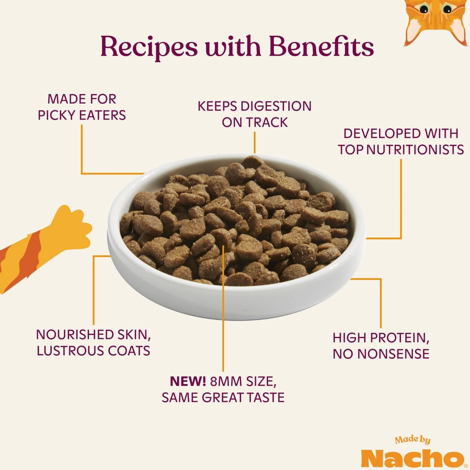 Made By Nacho Bone Broth Infused Sustainably Caught Salmon & Pumpkin Recipe Dry Cat Food 3 Made By Nacho Bone Broth Infused Sustainably Caught Salmon & Pumpkin Recipe Dry Cat Food - Image 3