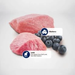 Farmina Natural & Delicious Lamb Grain-Free Formula Dry Cat Food -Farmina Pet Shop 77400 PT4. AC SS1800 V1486392759