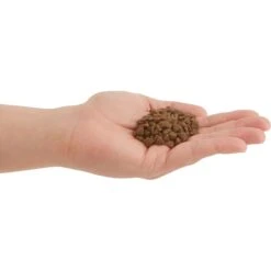 ACANA Chicken + Tuna Recipe In Bone Broth Grain-Free Wet Kitten Food, 3-oz Can, Case Of 24 & ACANA First Feast High-Protein Kitten Dry Cat Food, 4-lb Bag -Farmina Pet Shop 774342 PT8. AC SS1800 V1676904563