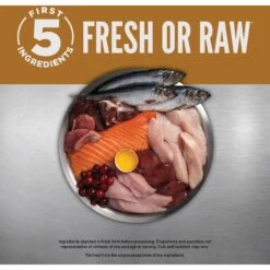 ORIJEN Duck + Chicken Entree In Bone Broth Wet Cat Food & ORIJEN Original Grain-Free Dry Cat Food 13 ORIJEN Duck + Chicken Entree In Bone Broth Wet Cat Food & ORIJEN Original Grain-Free Dry Cat Food -Farmina Pet Shop 774454 PT4. AC SS1800 V1689685526