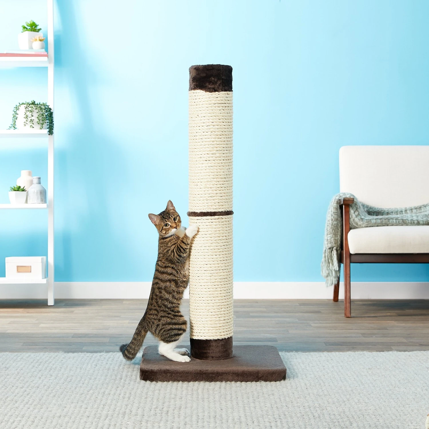MidWest Feline Nuvo Grand Forte 41-in Cat Scratching Post 2 MidWest Feline Nuvo Grand Forte 41-in Cat Scratching Post - Image 2