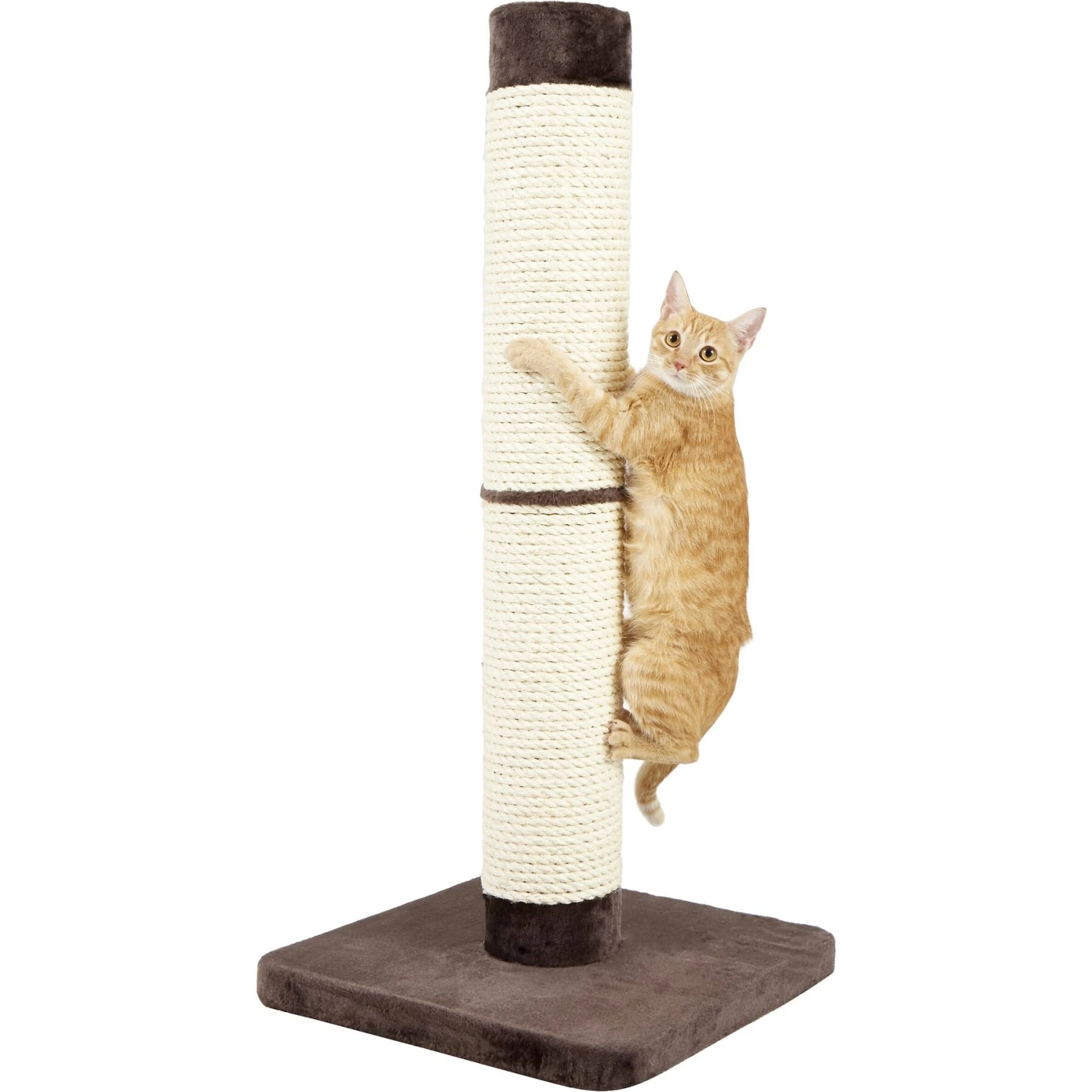MidWest Feline Nuvo Grand Forte 41-in Cat Scratching Post 3 MidWest Feline Nuvo Grand Forte 41-in Cat Scratching Post - Image 3