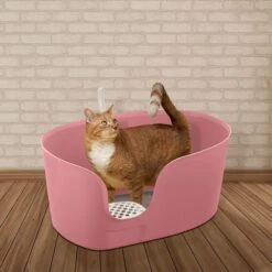Richell PAW TRAX High Wall Cat Litter Box, X-Large -Farmina Pet Shop 805006 PT3. AC SS1800 V1678913083