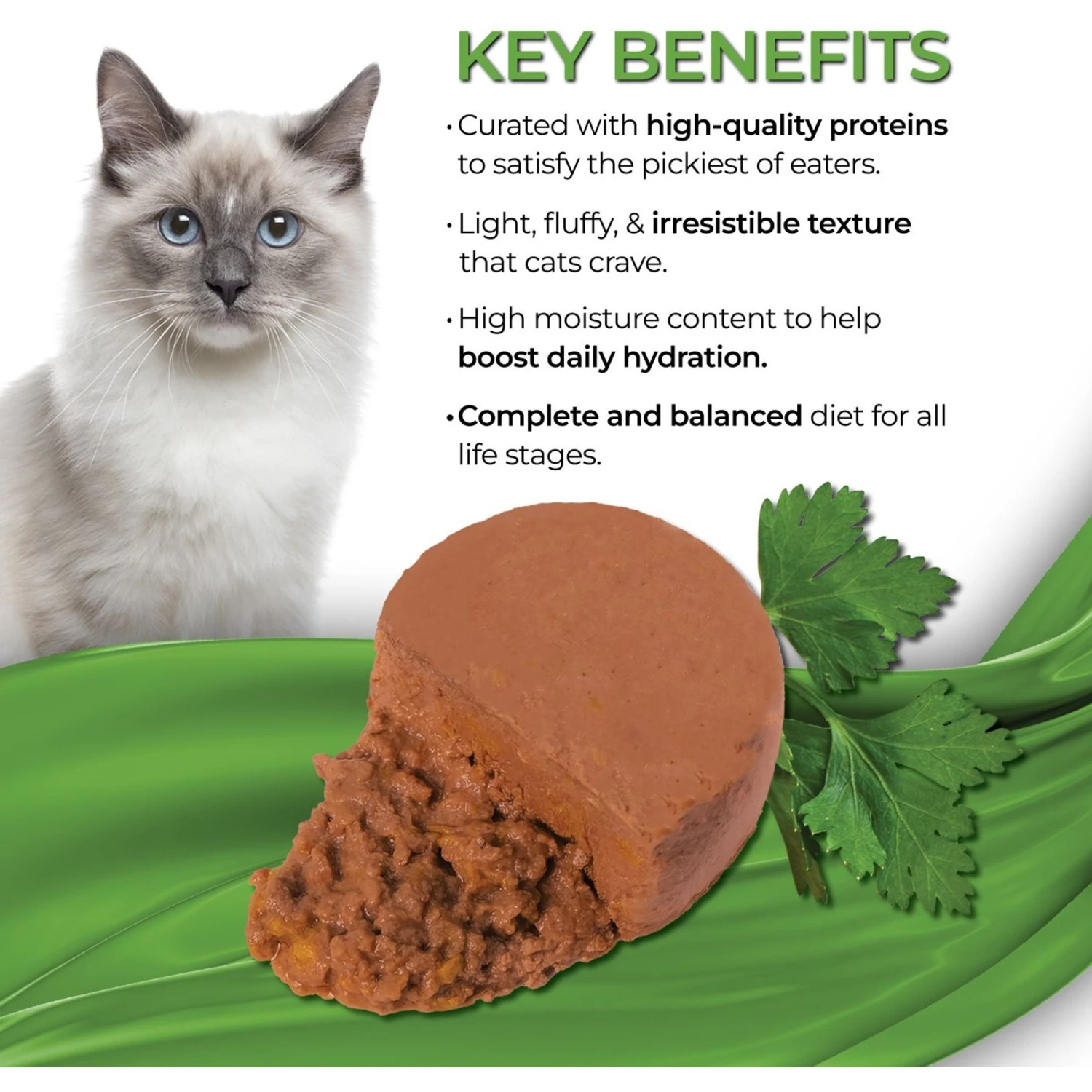 Fussie Cat Fine Dining Mousse Chicken With Pumpkin Entree Wet Cat Food, 2.47-oz Can, Case Of 24 3 Fussie Cat Fine Dining Mousse Chicken With Pumpkin Entree Wet Cat Food, 2.47-oz Can, Case Of 24 - Image 3