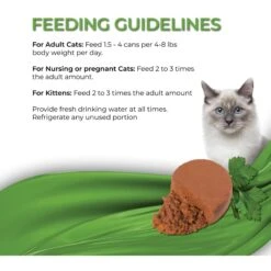 Fussie Cat Fine Dining Mousse Chicken With Pumpkin Entree Wet Cat Food, 2.47-oz Can, Case Of 24 12 Fussie Cat Fine Dining Mousse Chicken With Pumpkin Entree Wet Cat Food, 2.47-oz Can, Case Of 24 -Farmina Pet Shop 856382 PT5. AC SS1800 V1687875076