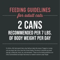 Tiki Cat After Dark Pate+ Chicken & Beef Grain-Free Wet Cat Food -Farmina Pet Shop 883846 PT5. AC SS1800 V1690492473