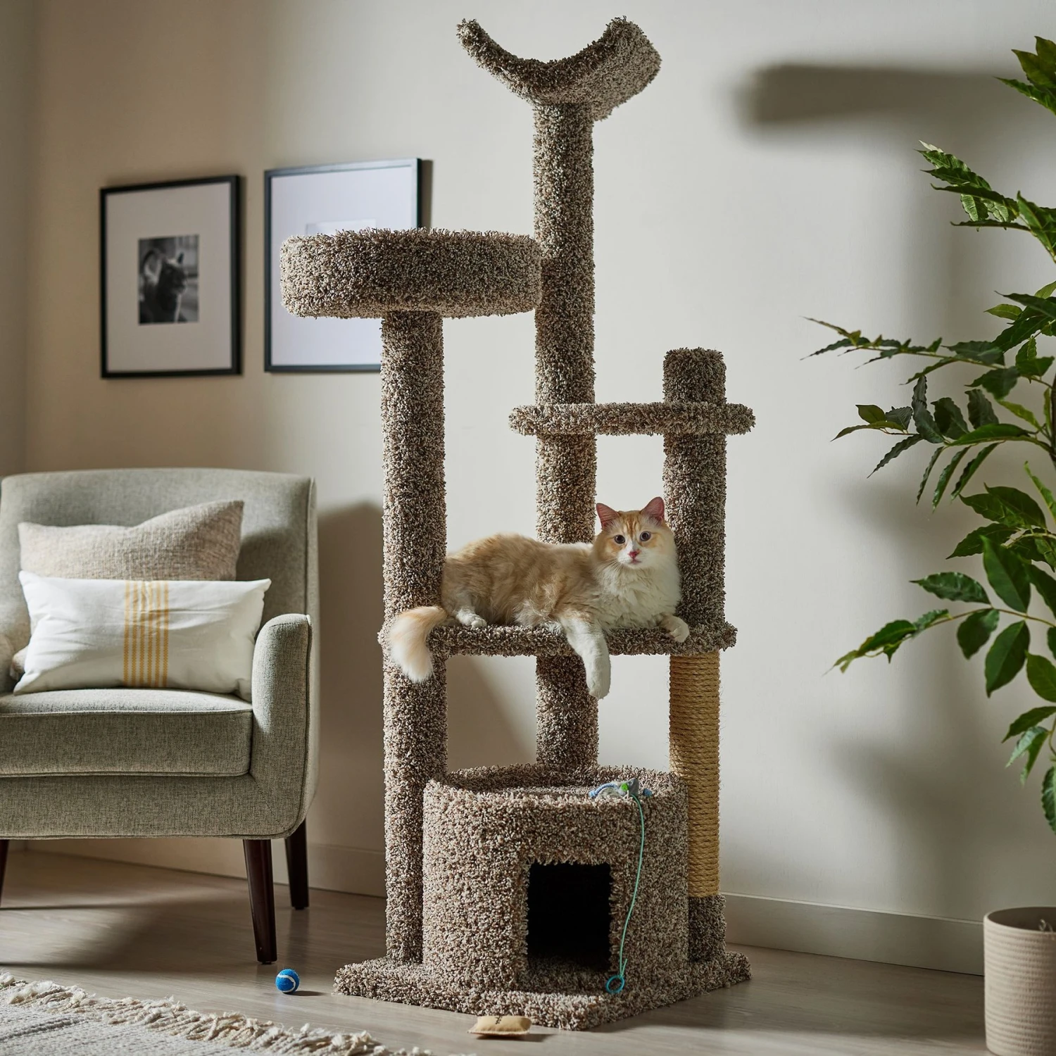 Frisco 64-in Real Carpet Wooden Cat Tree And Condo 1 Frisco 64-in Real Carpet Wooden Cat Tree And Condo