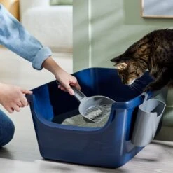 Frisco Open Top Cat Litter Box With Rim, Large & Frisco Plastic Litter Scooper With Caddy -Farmina Pet Shop 947526 PT5. AC SS1800 V1693924259