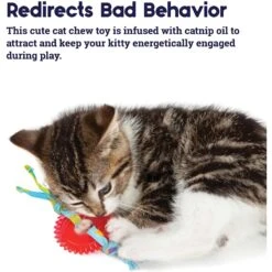 Catstages Fresh Breath Mint Stick Cat Chew Toy & Catstages Dental Kitty Chew Wheel Cat Chew Toy -Farmina Pet Shop 961990 PT8. AC SS1800 V1694784008