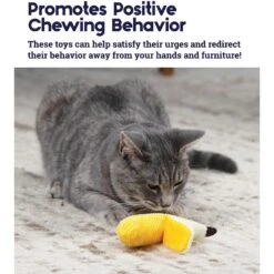 Catstages Dental Banana Cat Chew Toy With Catnip & Catstages Fresh Breath Mint Stick Cat Chew Toy -Farmina Pet Shop 962038 PT4. AC SS1800 V1694783952