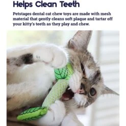 Catstages Dental Banana Cat Chew Toy With Catnip & Catstages Fresh Breath Mint Stick Cat Chew Toy -Farmina Pet Shop 962038 PT7. AC SS1800 V1694783953