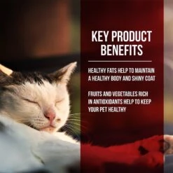 Fussie Cat Market Fresh Chicken & Turkey Recipe Grain-Free Dry Cat Food 9 Fussie Cat Market Fresh Chicken & Turkey Recipe Grain-Free Dry Cat Food -Farmina Pet Shop 98153 PT2. AC SS1800 V1642555883