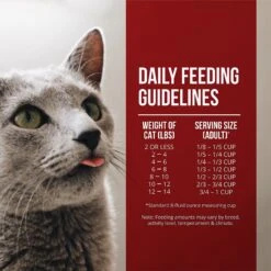 Fussie Cat Market Fresh Chicken & Turkey Recipe Grain-Free Dry Cat Food 12 Fussie Cat Market Fresh Chicken & Turkey Recipe Grain-Free Dry Cat Food -Farmina Pet Shop 98153 PT5. AC SS1800 V1642566997