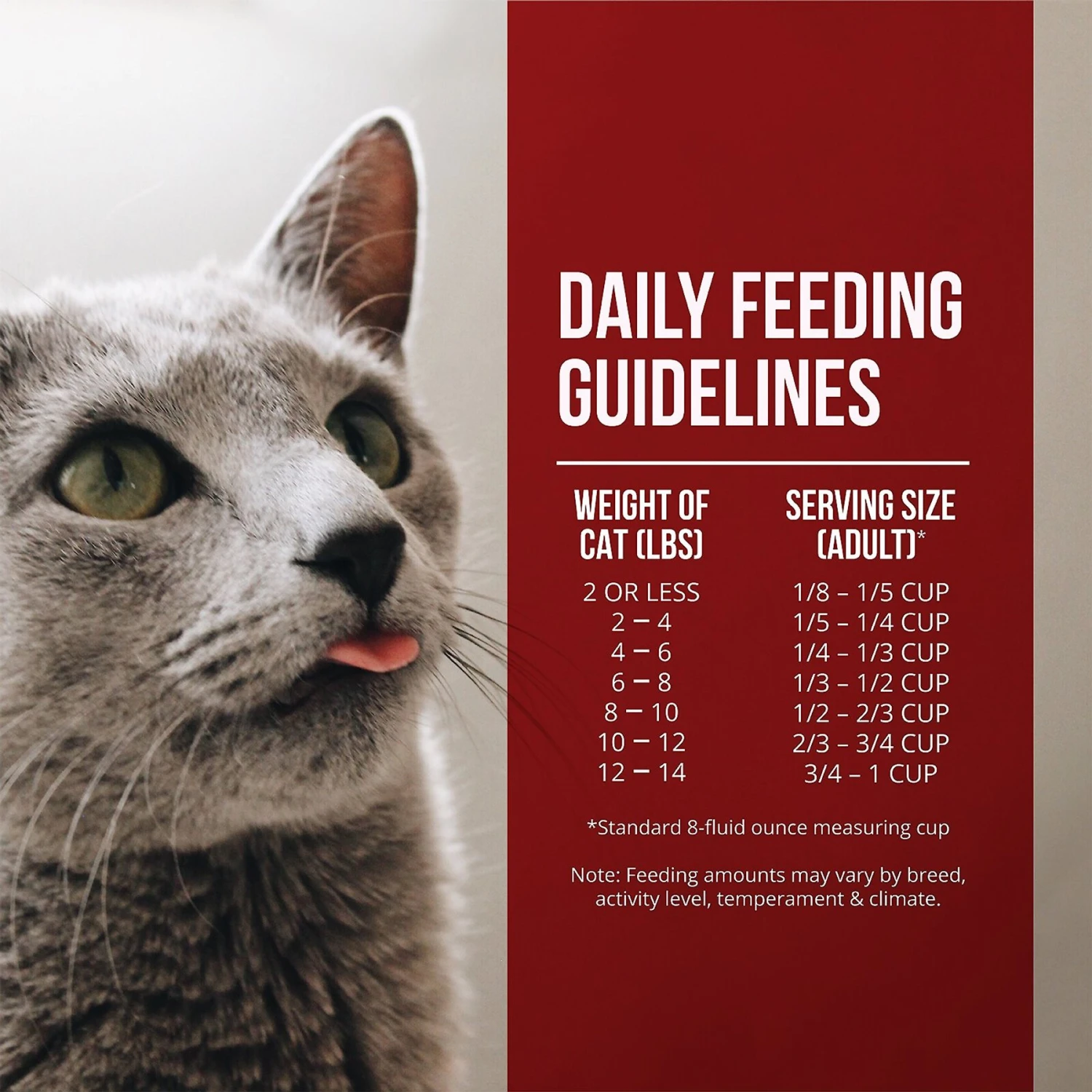 Fussie Cat Market Fresh Chicken & Turkey Recipe Grain-Free Dry Cat Food 6 Fussie Cat Market Fresh Chicken & Turkey Recipe Grain-Free Dry Cat Food - Image 6